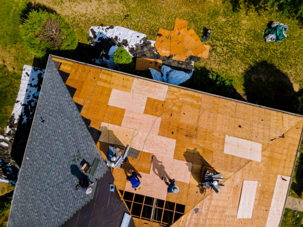 Roof Gutter Cleaning in Euclid, OH
